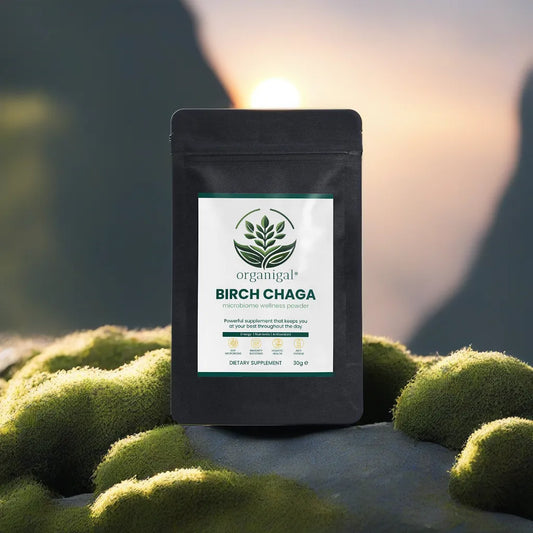 Birch Chaga Microbiome Wellness Powder