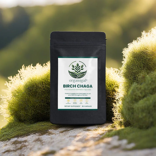 Birch Chaga Microbiome Wellness Capsules